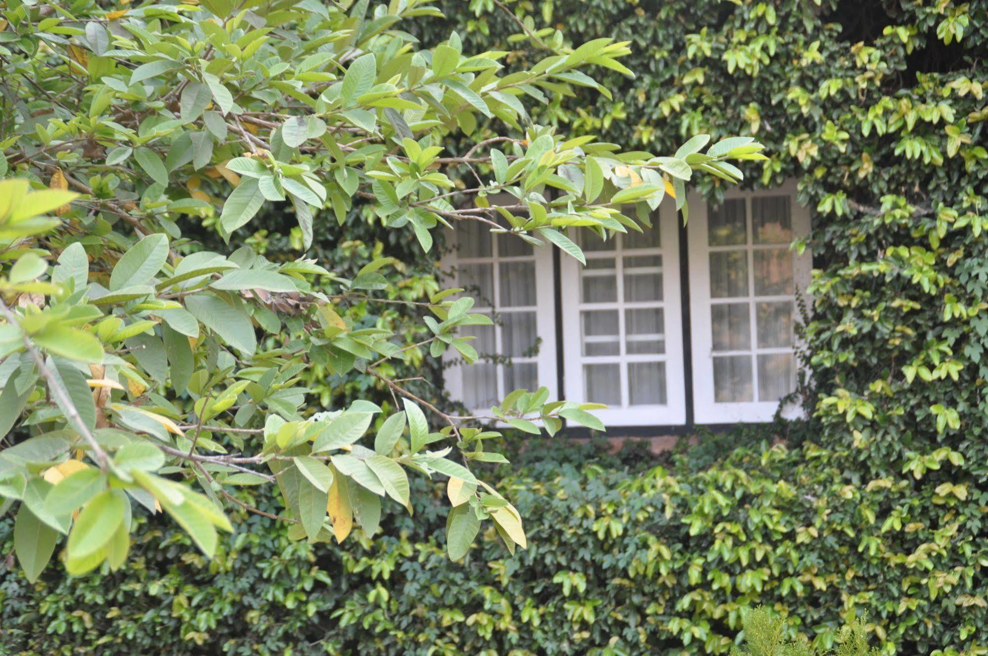 Kalaw Heritage Hotel Since 1903 Экстерьер фото
